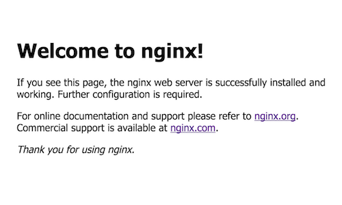 You should now see the nginx welcome screen